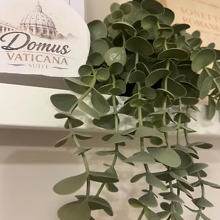 Domus Vaticano - 200 M Da San Pietro