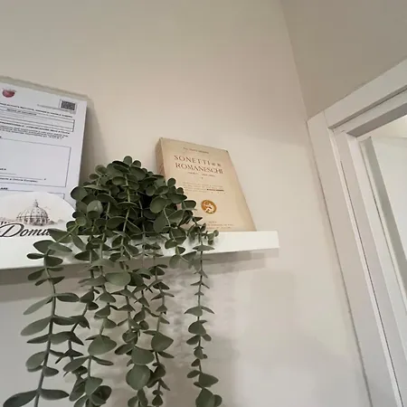 Domus Vaticano - 200 M Da San Pietro Apartmán Řím